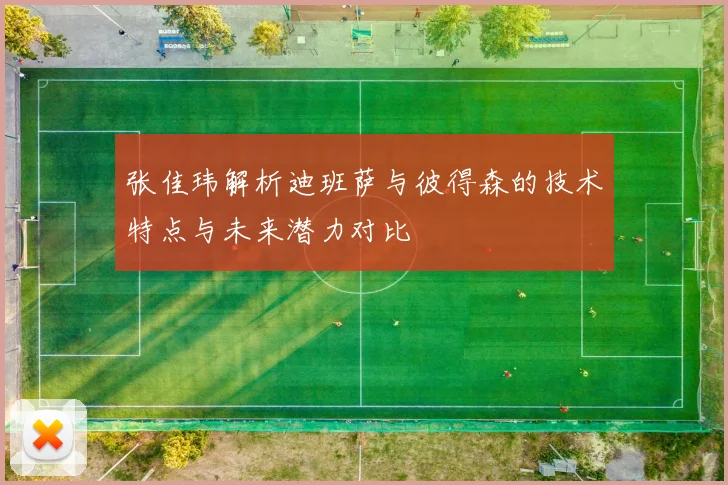 张佳玮解析迪班萨与彼得森的技术特点与未来潜力对比