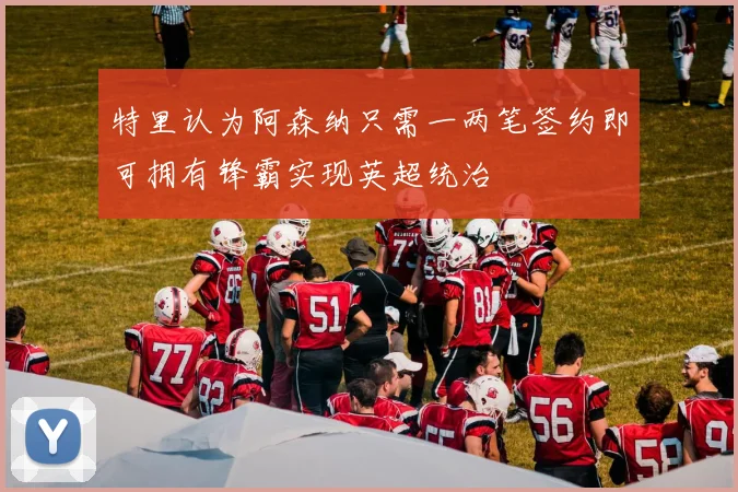 特里认为阿森纳只需一两笔签约即可拥有锋霸实现英超统治